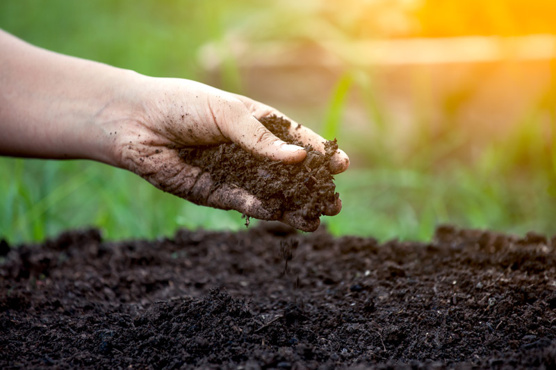 Do you know well-drained soil? Here comes some information about it.